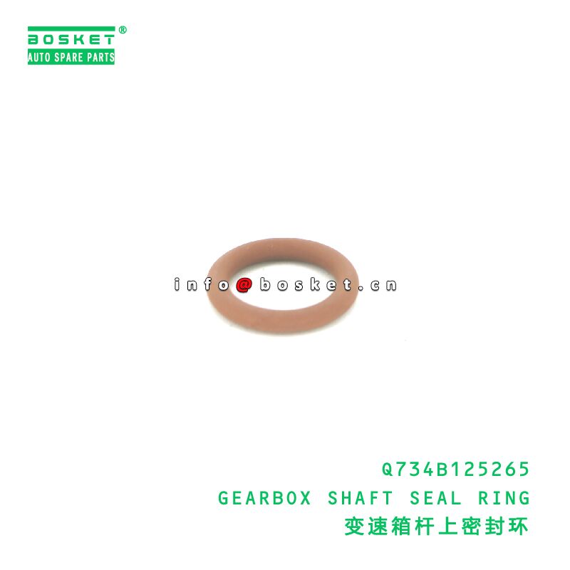 Q62404 HEXAGONAL CONICAL PLUG - OIL DRAIN PLUG suitable for JAC  Q62404